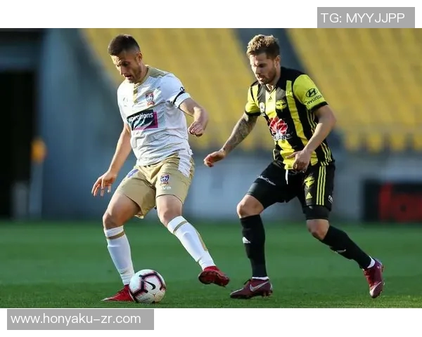 中央海岸对阵惠灵顿比赛结果分析与精彩瞬间回顾